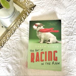 3/$12 📖 The Art of Dancing in the Rain